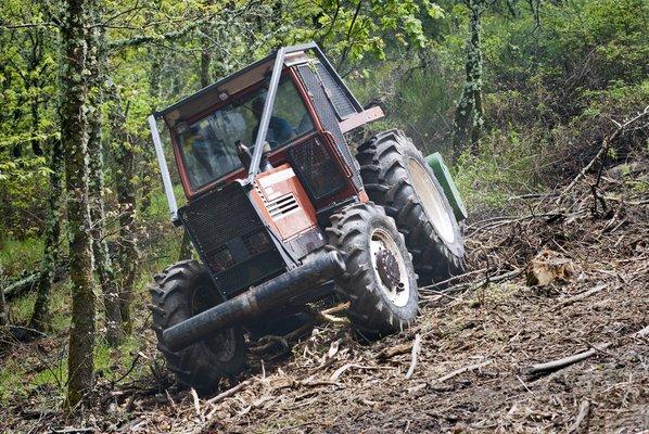 brush clearing in Anaheim, California