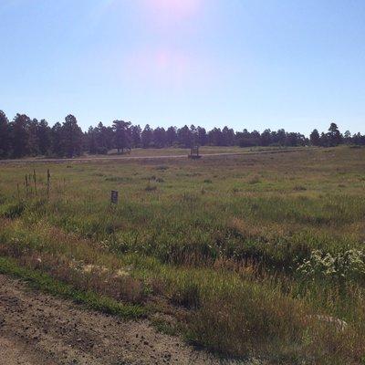 24 Port Avenue, Pagosa Springs,CO listed at $11,499 great home site, close to town, taps paid! Ready for new Owner! Call today! 970-946-0975