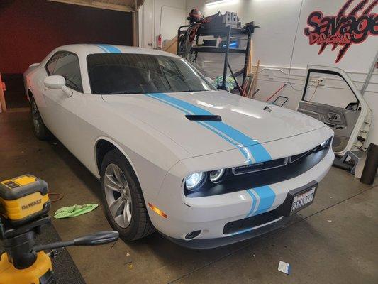 3m Sky Blue Offset Stripe For this challenger