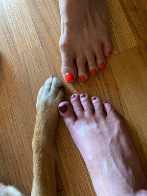 2 pedi's and a paw