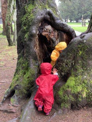 Outdoor class, exploring!