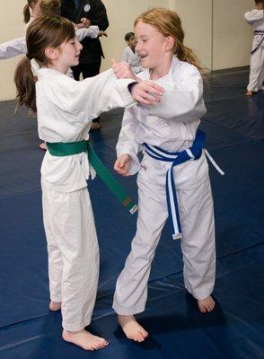 The highest rated Martial Arts dojo in fort collins, Total Ryu Martial Arts