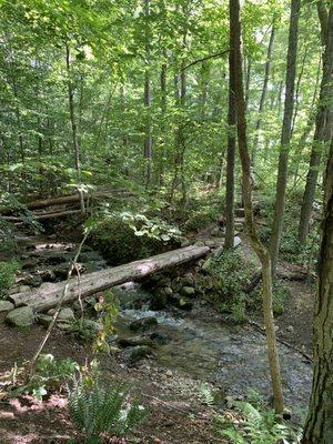 Log bridge over bubbling stream