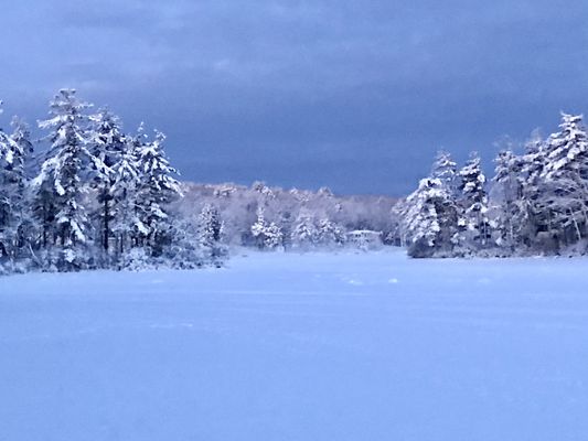 Winter snows on Bow Lake