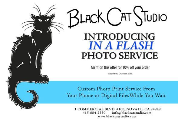 Black Cat Studio