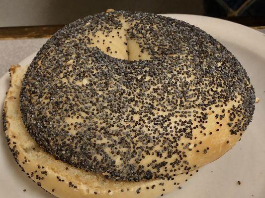 Poppyseed Bagel