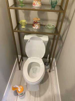 Cleanest toilet in the world :)