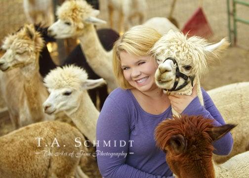 Castle Ranch Alpacas