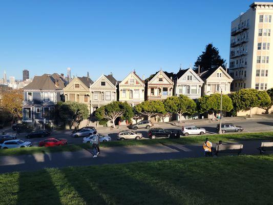 Painted Ladies