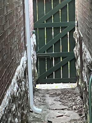 Some of their recent handiwork in Shaw. Downspout pointed directly at my house's foundation. Brilliant.