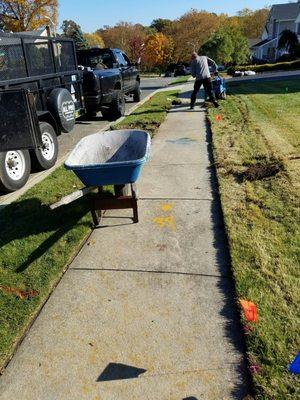 Removing old Lawn, preparing for new Sod Lawn