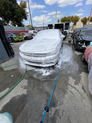 Foam cannon Satisfaction