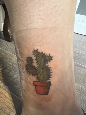 Cactus