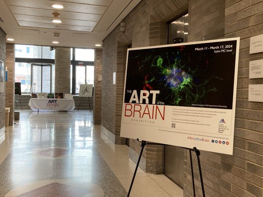 Art Brain Exhibit at the School of Medicine. 03/13/24