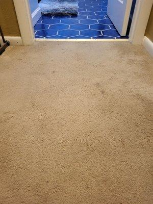 Stains on carpet