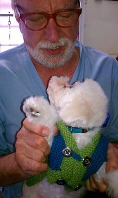 Don Fernando loves his groomer, Bob DiNunzio, owner of Hound and Hair in Warrenton, VA. Bob also breeds and shows Norfolk Terrie