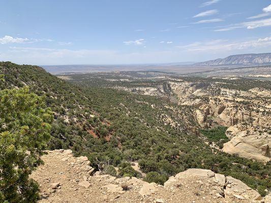 Good scenery on Plug Hat Trail located near the front of the park.