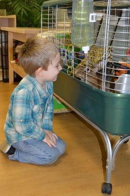 We love our class pet; the VPK bunny named Puff Lucy.