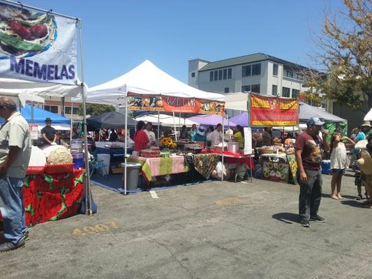 Festival Del Nopal