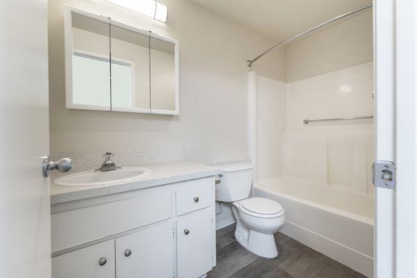 Full bath with medicine cabinet and ample cabinetry space.