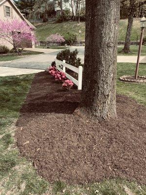 The new mulch really makes the pink flowers stand out!