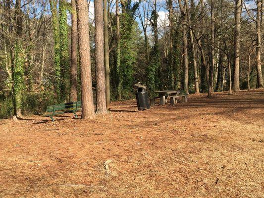 Quiet park bench with trash receptacle