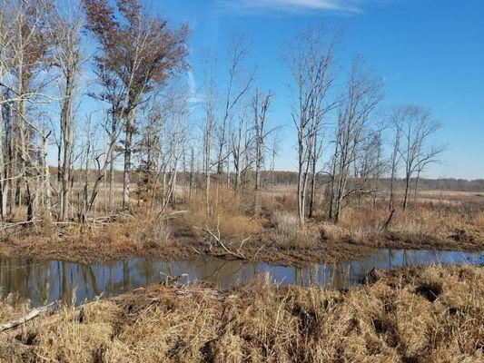 We really enjoyed Lord Stirling Park. Flat trails and a nice environmental education center to explore.