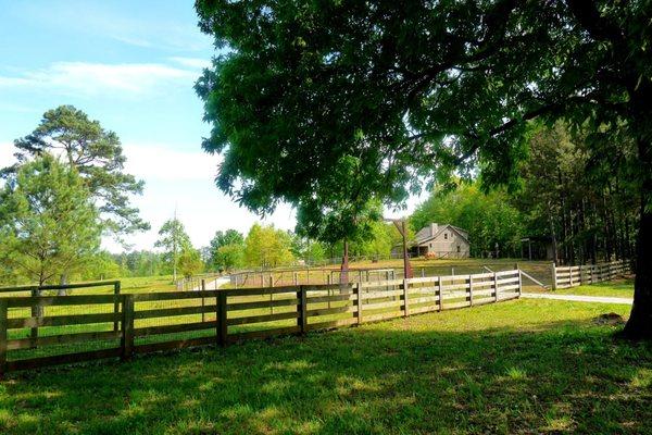 FOOTHILLS FARM
 320 Steve Tate Highway
 Marble Hill, Georgia 30148
 770-893-2454
 30148