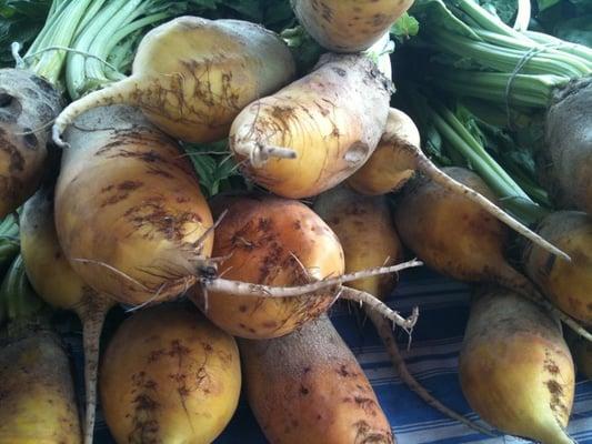 Yellow beets today