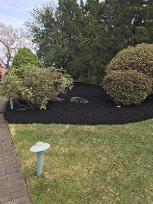 Mulch Job I did