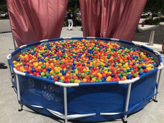 Ball pit in enclosure