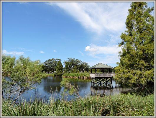 Landscape over lake at Glen oaks! (Photo by Todd.G)