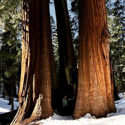 Sequoia National Forest