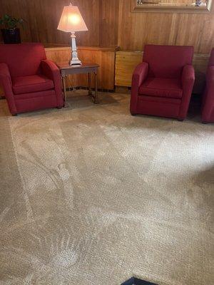 Carpet cleaning service