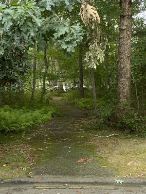 Walking trail.