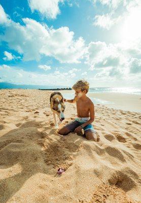 Dog friendly beaches