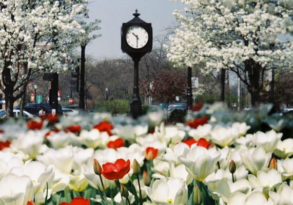 Downtown Downers Grove