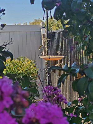 My new hanging bird bath! I love it and so do the birds! Thank u, Claire!