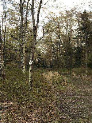 Signs for the trail