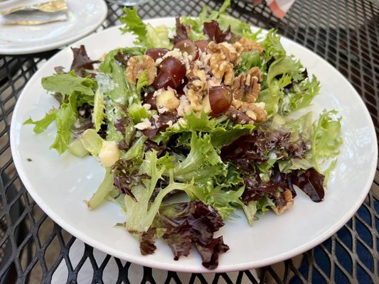 Waldorf Salad Field greens, apples, walnuts, celery, cranberry cheese, grapes, creamy tarragon dressing