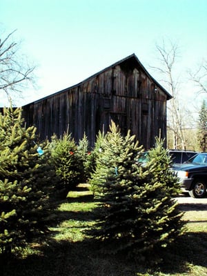 AJ Nieman Nursery