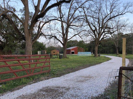 Large red shop is where the magic happens! View from Ches Broussard Road