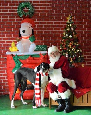 Photos with Santa at Happy Paws!