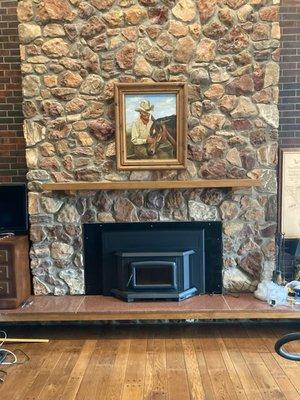 Fireplace insert