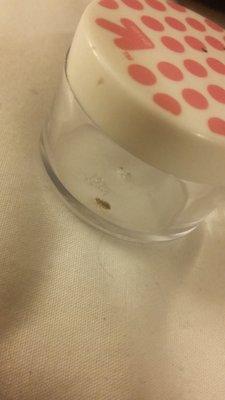 container with bed bug captured inside