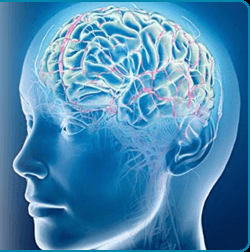 Our method of brain training is called Neurofeedback, EEG Biofeedback, or Neurotherapy. Visit us at our website to learn  the many benefits.