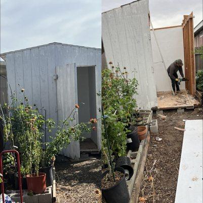 Shed demolition