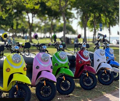 Scooter Rental now in your favorite colors