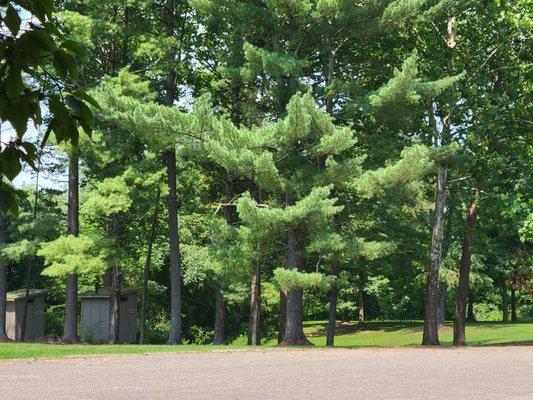 Picnic area