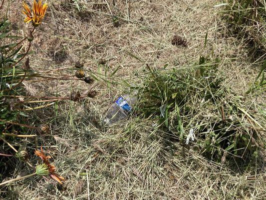 Trash left by M&R gardeners behind our home - again...